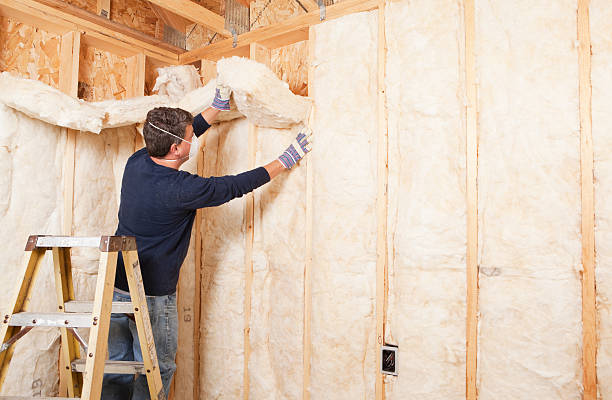 Best Garage Insulation  in Judson, SC