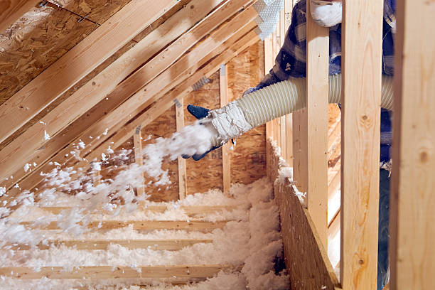 Best Batt and Roll Insulation  in Judson, SC